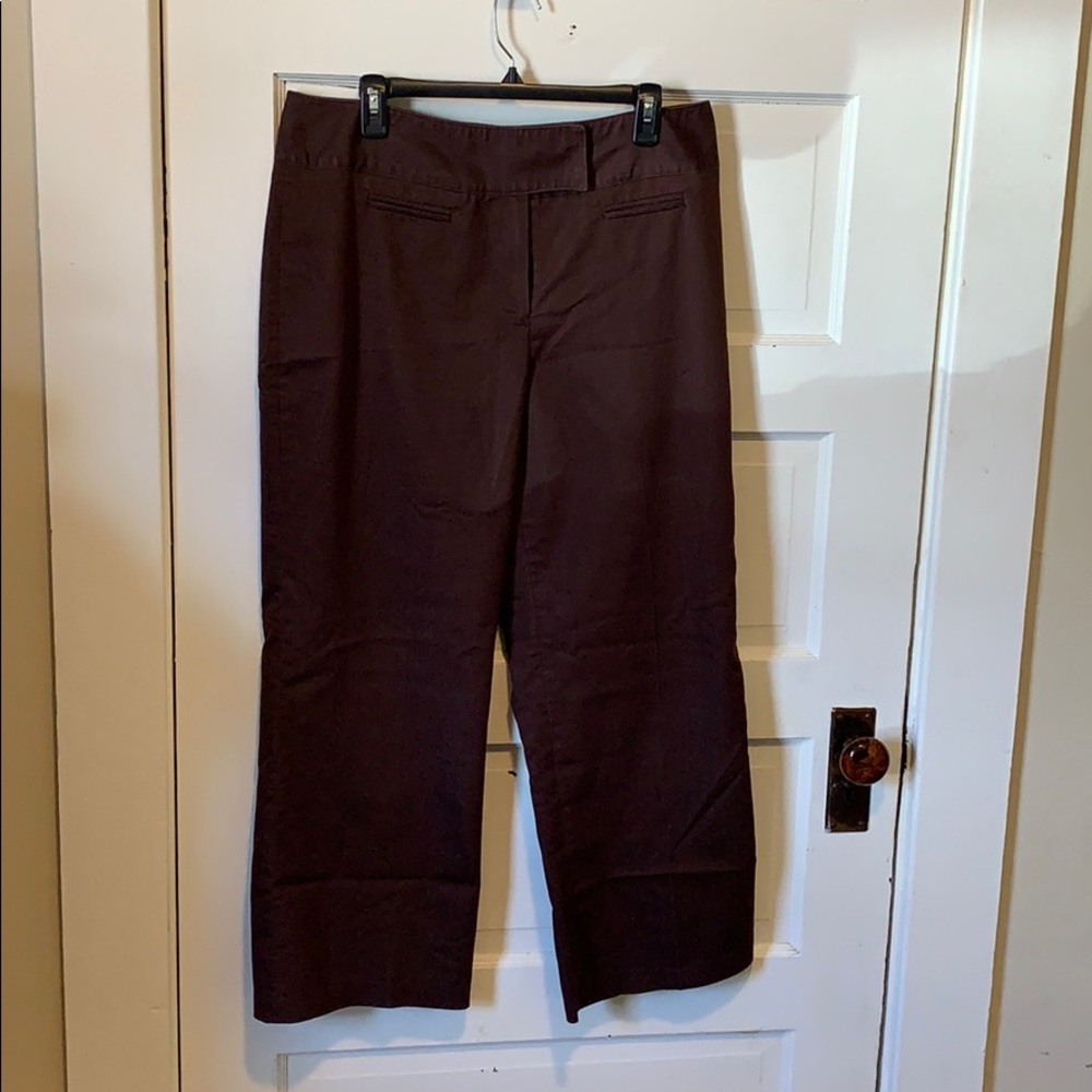 Pantology Size 16
